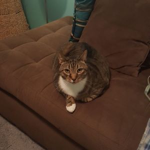 Meet your Posher, Doreen